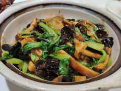 -老吉士(环贸iapm店)