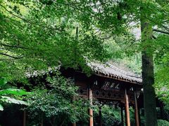 -杭州半山国家森林公园