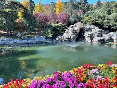 -香山公园