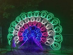 -广东花都香草世界旅游度假区