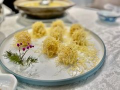 -丁老爷子苏香圆