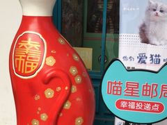 -猫咪博物馆(顶澳仔猫街店)