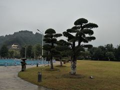 -宜春明月山维景国际温泉度假酒店