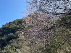 -宁波五龙潭景区