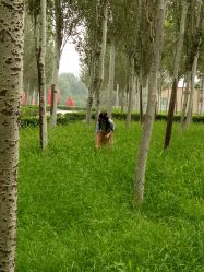 点击看大图 -爱儿美儿童摄影(朝阳公园店)