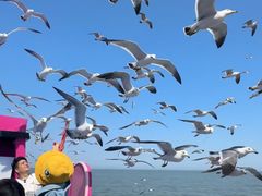 -海驴岛(荣成市)