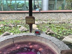 -明月山天沐温泉度假村