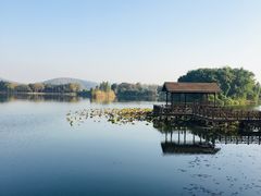 -上海市保健医疗中心