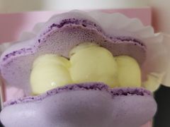 半熟花花马卡龙柚子樱花味-好利来(龙首印象城店)