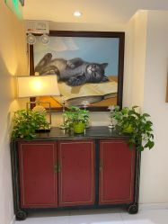 -咪咪比基尼脱毛专业店