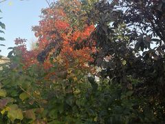 -北京国家会计学院