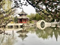 -莲池书院博物馆