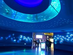 -南昌融创海世界