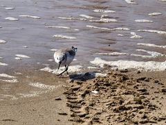 -南澳海滩