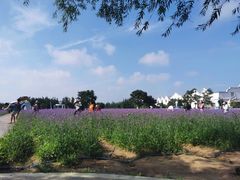 -渔岛海洋度假区