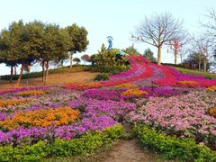 -东莞植物园
