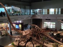-自贡恐龙博物馆
