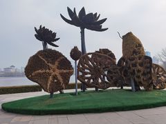 -莲花池公园