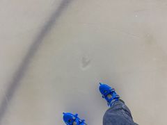 -松江大学城体育馆滑冰馆