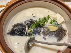 -全乐鱼馆·淳牌有机鱼直营店