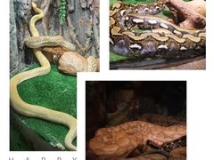 -广州长隆野生动物世界