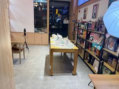 -山宅一喵德文卷毛猫舍
