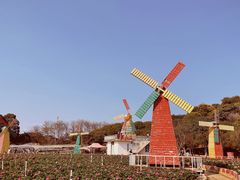 -松山湖梦幻百花洲