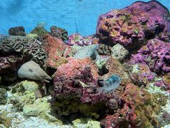 -鹿儿岛水族馆