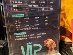 -百好乐宠物友好餐厅(朝外大街店)