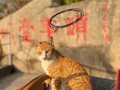 -鸿山公园