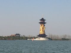 -溱湖国家湿地公园