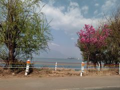 -大理洱海