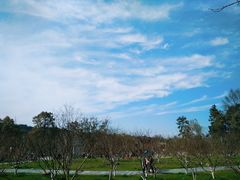 -常德桃花源景区