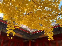 -承恩寺