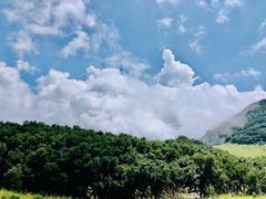 -白草畔自然风景区