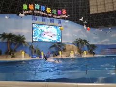 -泉城欧乐堡海洋极地世界