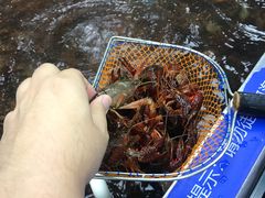 -盒马鲜生(宝地店)