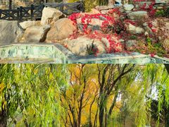 -大连罗马假日酒店温泉