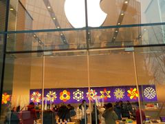 -Apple零售店(华贸购物中心店)