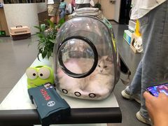 -半岛宠物医院24小时(科华中路店)