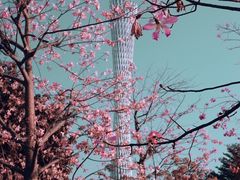 -海心沙亚运公园