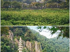 -雁荡山风景名胜区