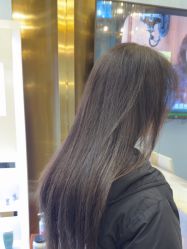 -YESIDO椰岛造型