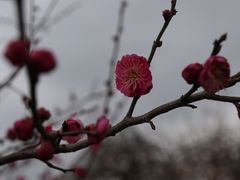 景点-上海海湾国家森林公园