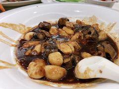 -锦江都城闵行饭店