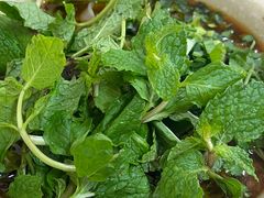 -铭记嘎洒生态鳝鱼(迎春街店)