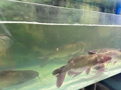 -食理八湘(中海城风情苑北区店)