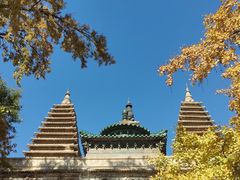 -北京石刻艺术博物馆(五塔寺)