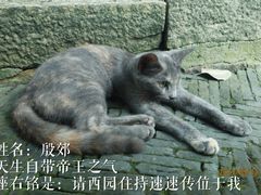 -西园戒幢律寺