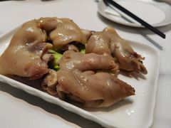 -丁老爷子苏香圆
